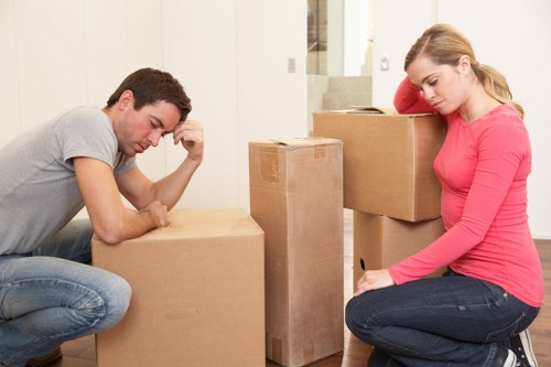 Professional man and van service handling boxes in Brookgreen