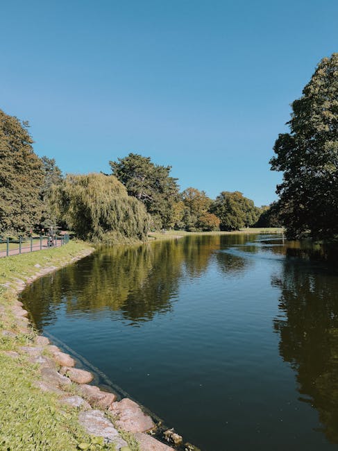 This image depicts a peaceful scene of a calm, narrow river or canal situated within a green park area, with clear blue skies overhead. On the left side of the image, a paved walkway runs parallel to the water, lined with a short metal railing and bordered by a grassy embankment featuring scattered rocks along the water's edge. Various trees, including a prominent weeping willow with drooping branches and broad-leaved trees with full canopies, extend over the water, providing shaded areas. The water reflects the trees and sky, indicating stillness and clarity. In the background, dense foliage and taller trees frame the scene, creating a tranquil natural environment. This setting is representative of an outdoor park area suitable for leisure activities, designed to complement a house removals or relocation service by showcasing the scenic environment near Brook Green Gardens, where a professional team like Man and Van Brook Green might facilitate home moves with a focus on careful packing and transportation of belongings through such picturesque surroundings.